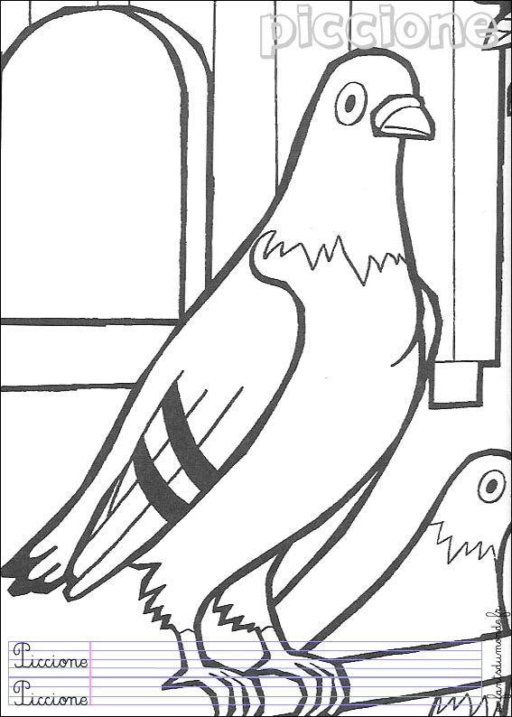 coloriage pigeon 1