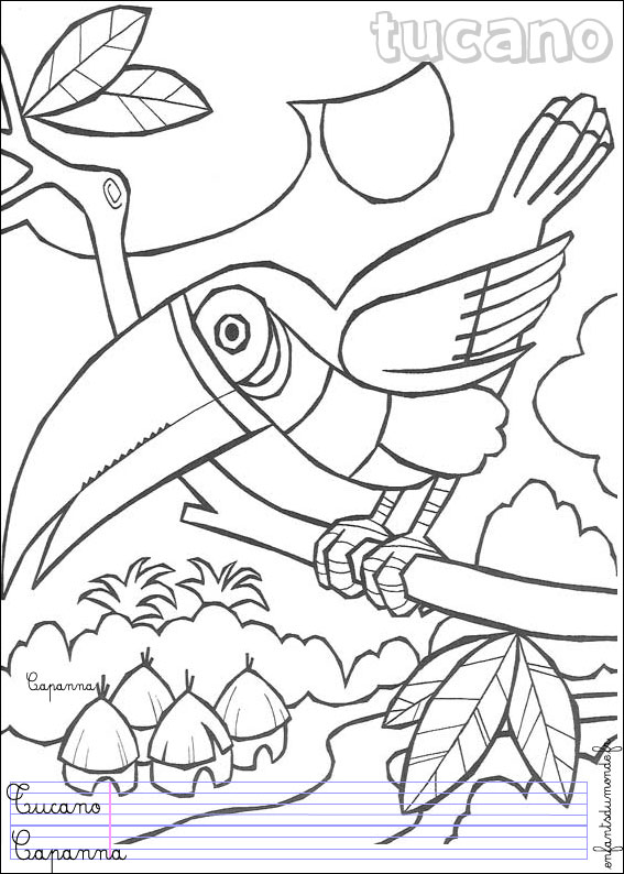 coloriage toucan 1