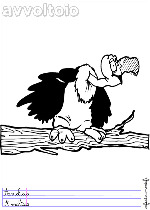 coloriage vautour 1