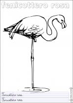 coloriage-flamant-rose-1