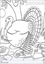 coloriage-paon-1