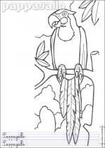 coloriage-perroquet-1
