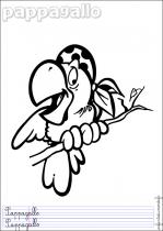 coloriage-perroquet-2