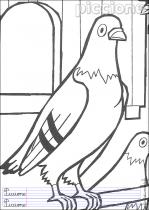 coloriage-pigeon-1