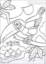 coloriage-toucan-1