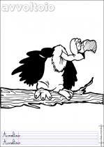 coloriage-vautour-1
