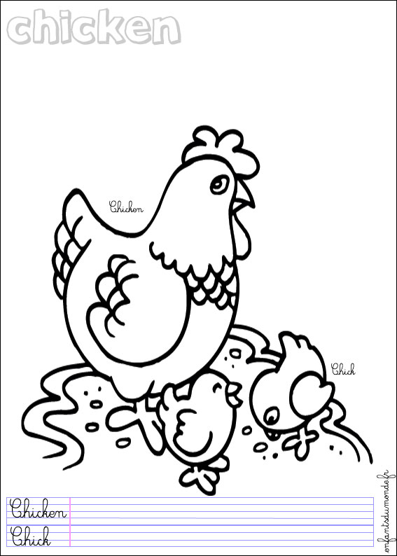 coloriage poule 2 .:. Coloriages Animaux de la ferme en anglais